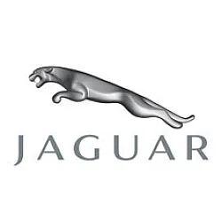 Jaguar Jaguar